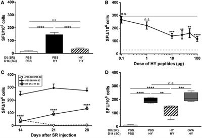 Subretinal Injection of HY Peptides Induces Systemic Antigen-Specific Inhibition of Effector CD4+ and CD8+ T-Cell Responses
